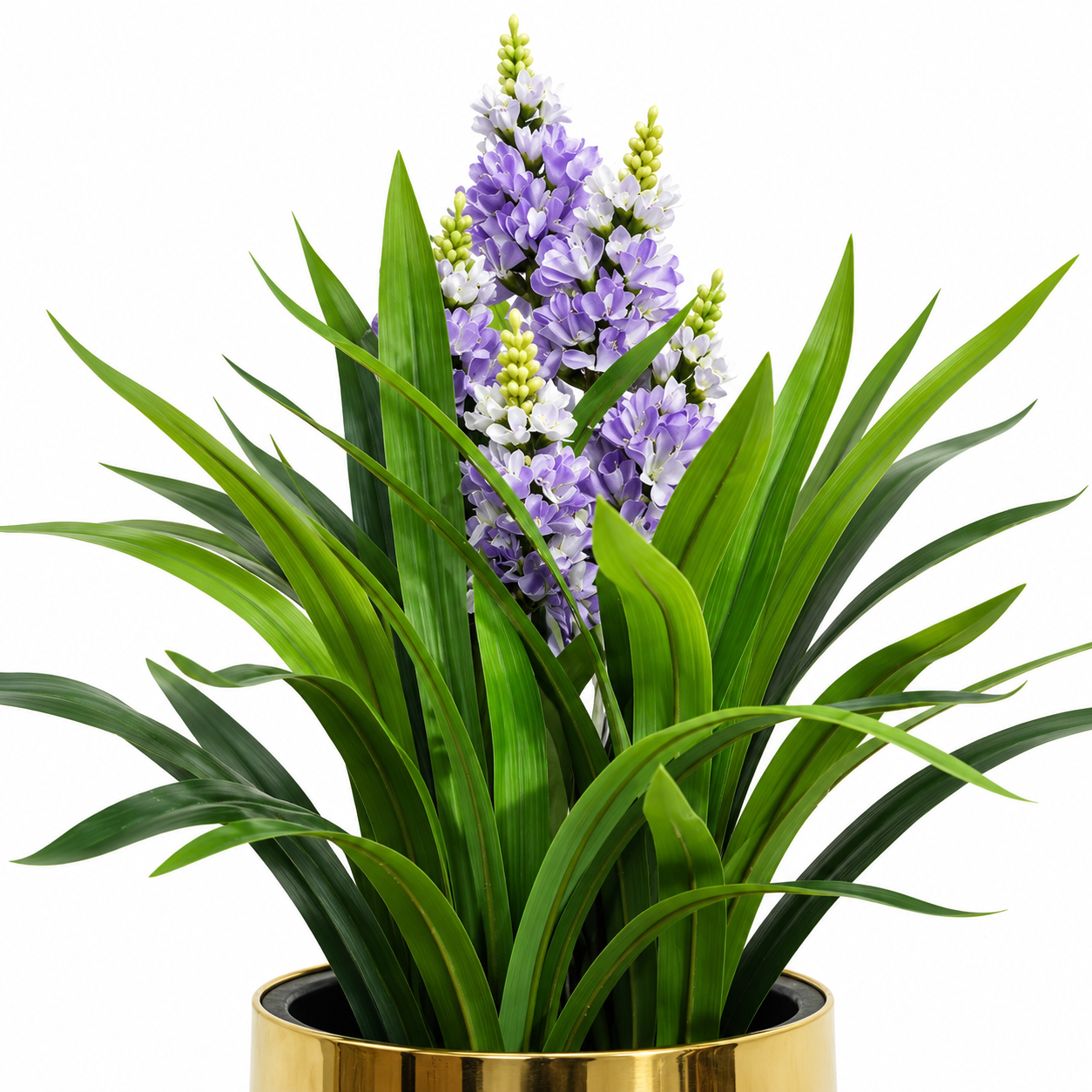 High Life decorative purple lavender table plant in black pot buy online in pakistan