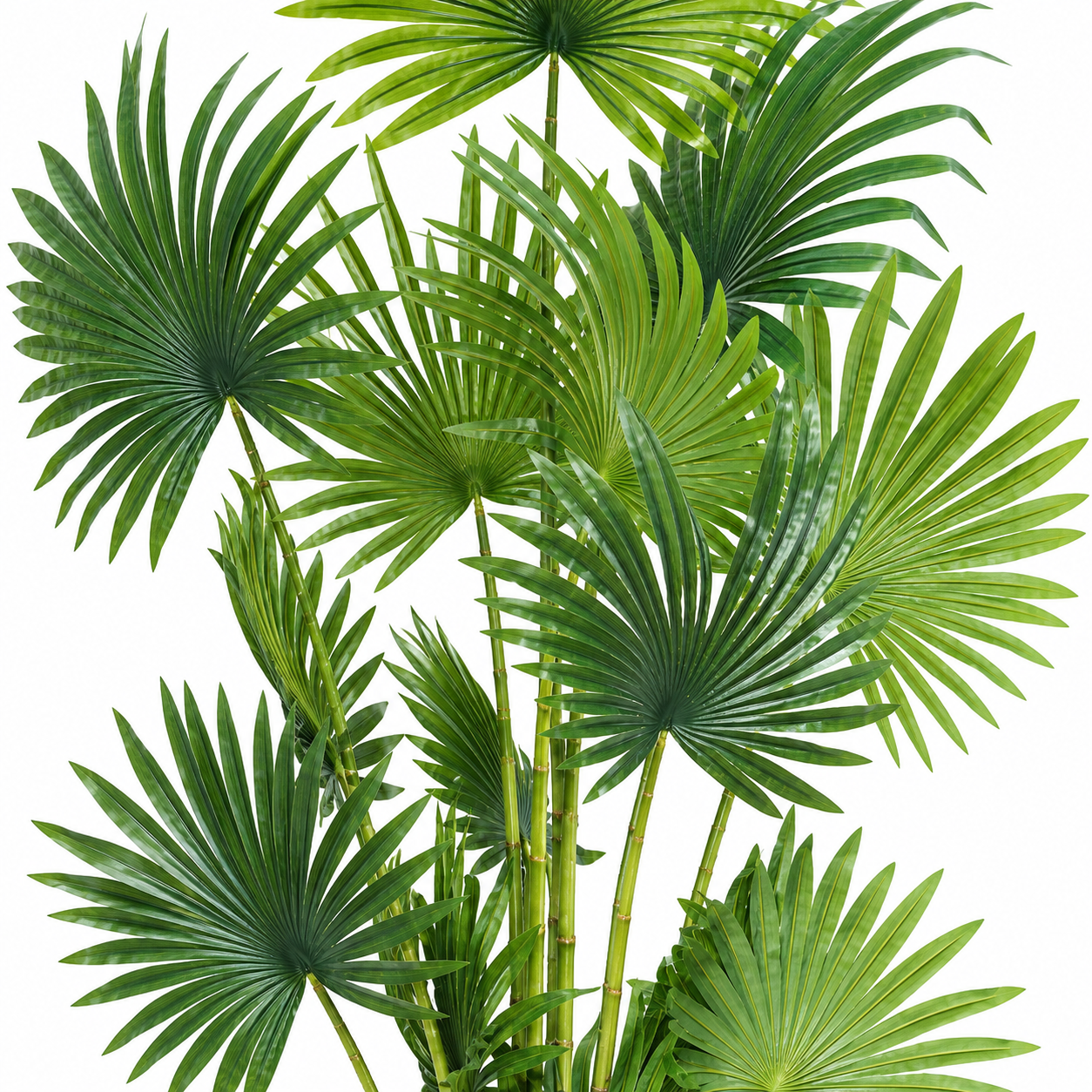 High Life Artificial Fan Palm Tree – 6 Feet Ultra-Realistic Decorative Indoor Plant