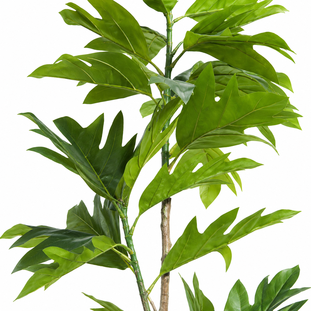 Artificial green leafy plant with large glossy leaves on a white background.